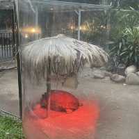 喜歡動植物嘅小寶寶都適合參觀嘅地方🐒🦧