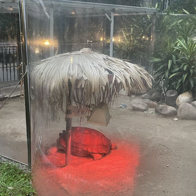 喜歡動植物嘅小寶寶都適合參觀嘅地方🐒🦧