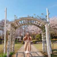 韓国/ソウル【江西区】お庭が広い💚とても素敵なホテルでいただくアフタヌーンティー🍰✨