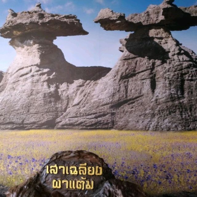 อุทยานแห่งชาติผาแต้ม จ.อุบลราชธานี