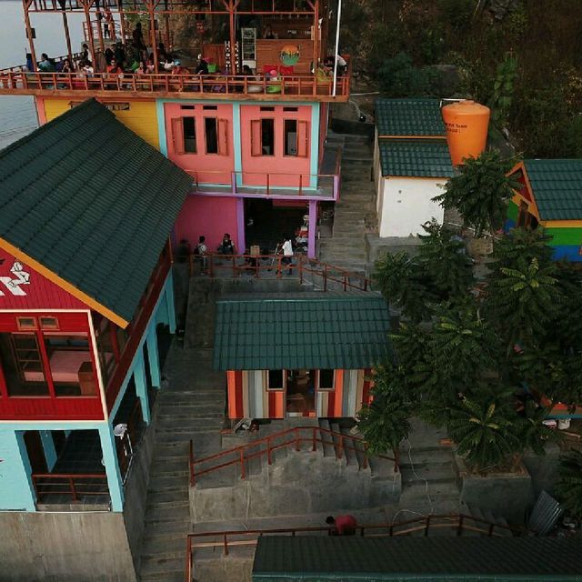 ONE TREE HILL