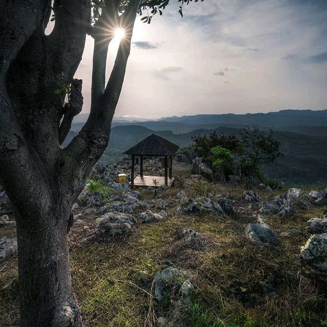 STONE GARDEN, WEST JAVA