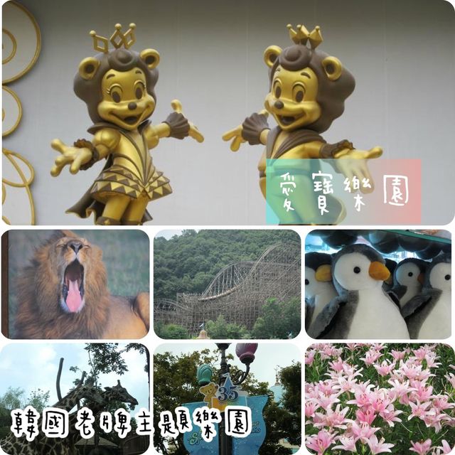 韓國老牌愛寶樂園❤️超豐富體驗