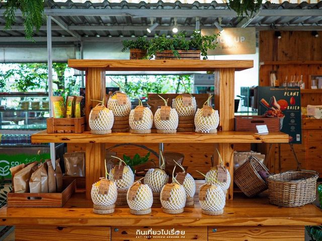 🍃 Coro Field ฟาร์มสไตล์ญี่ปุ่นชื่อดัง ราชบุรี