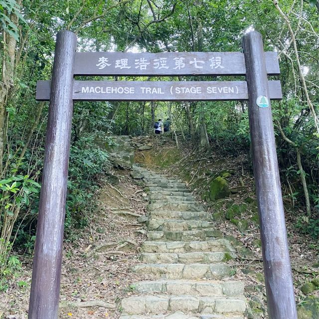 針山