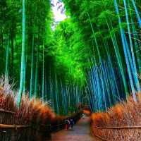 #Arashiyama 