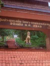 🛕วัดพระธาตุดอยกองมู ศรัทธาแห่งเมืองสามหมอก🛕