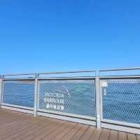 無敵海景 ~ 卑路乍灣海濱長廊 