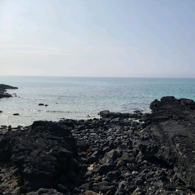 제주 선인장 마을