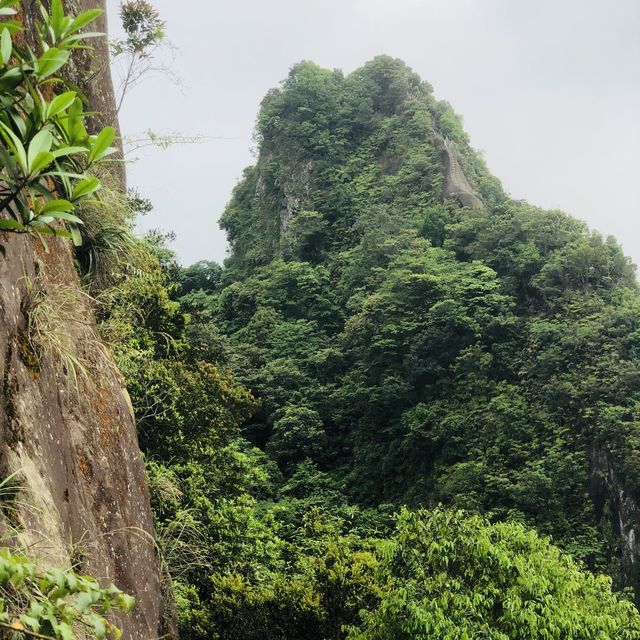 Xiaozishan Trail 孝子山步道🐾爬爬山呼吸新鮮空氣🌳新北平溪