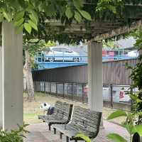 山口本町公園