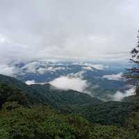 จุดชมวิวอุทยานแห่งชาติดอยภูคา
