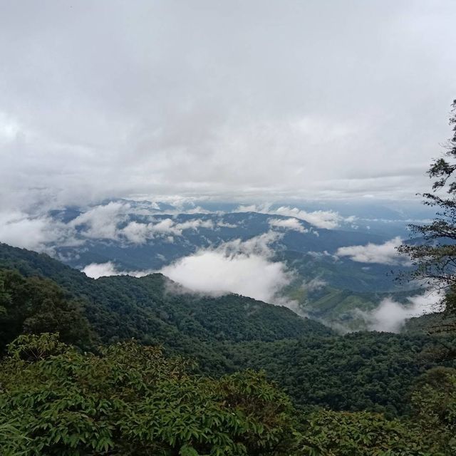 จุดชมวิวอุทยานแห่งชาติดอยภูคา