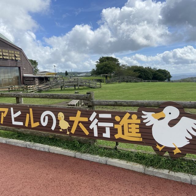 【マザー牧場】映えスポットと動物の癒し