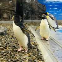 AQUARIUM PLACE 