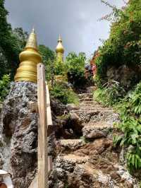 อุทยานธรรมนาในหลวง สุราษฎร์ธานี