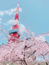 มุมลับสุดปัง 🗼Tokyo Tower
