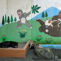 日本和歌山城公園動物園