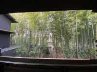 奈良　竹林の中で露天風呂を楽しめる宿🎋【ふふ奈良】