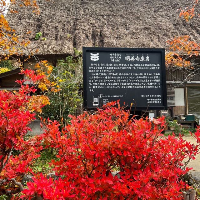 白川八幡神社 及 明善寺🍁🍁