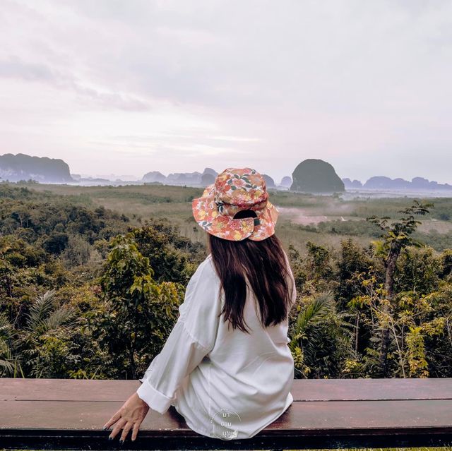 จุดชมทะเลหมอก จิบกาแฟ แลวิว 