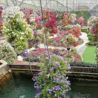 Cameron Highland Floral Park