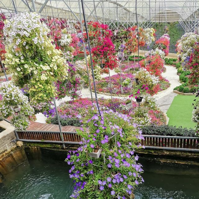 Cameron Highland Floral Park