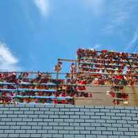 Colorful Gamcheon Cultural Village Busan!