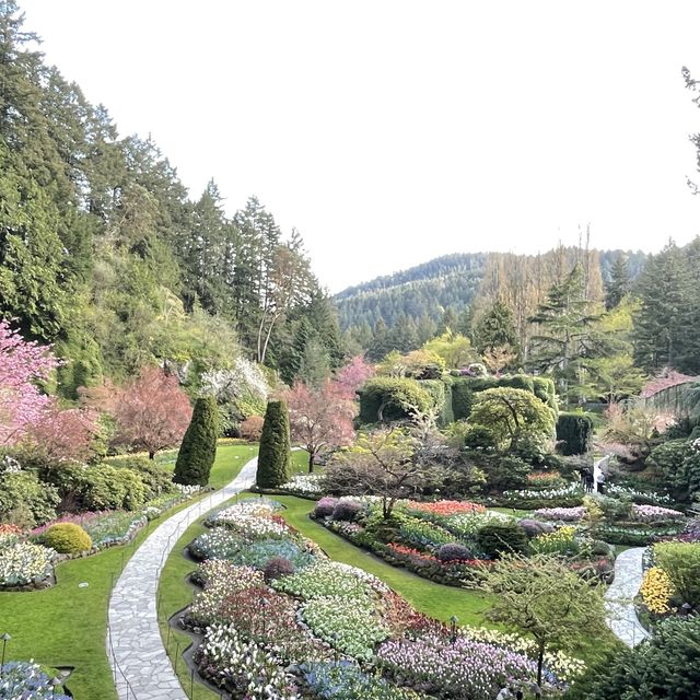 Butchart Gardens - Victoria 笨柒花園