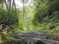 Hike to Chimney Top - Great Smokies 