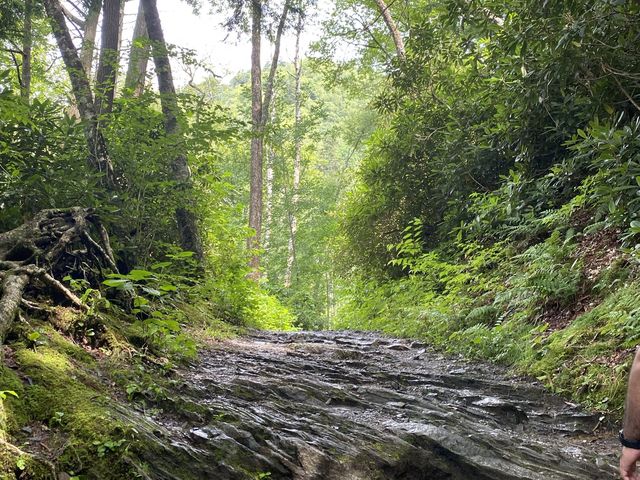 Hike to Chimney Top - Great Smokies 