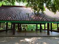 Kowloon Park - A green Paradise