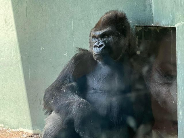 Toledo Zoo and Aquarium - Toledo, USA