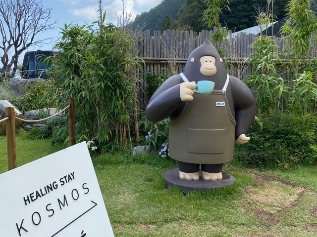 카페 울라, 울릉도 최고의 오션뷰 카페 ☕️💙