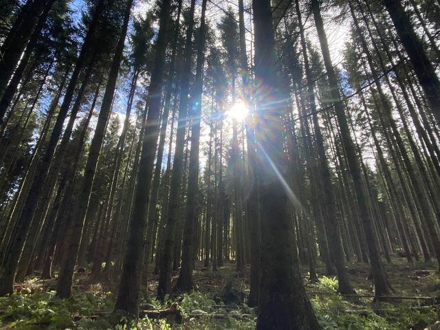Beecraigs Country Park