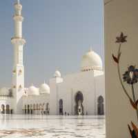 Sheikh Zayed Grand Mosque, Abu Dhabi