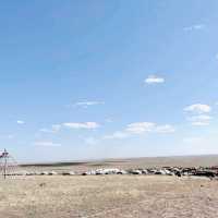 Grassland Horse-Riding in Inner Mongolia