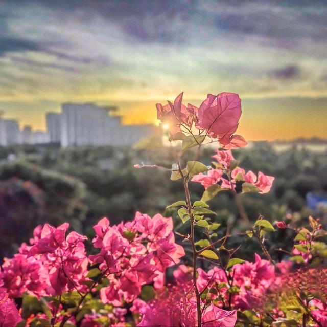 Sanya Hotel Sunrise!