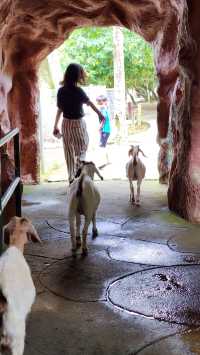 A day trip to the surprising Malaysia Wildlife Park.