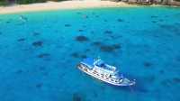 Thailand's coral garden, Koh Similan Island.