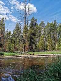 Yellowstone National Park, walking on the wilderness. (3)