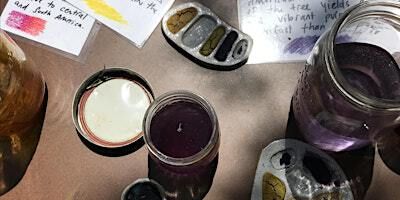 Paint from Plants: Lake Pigments | 1255 Wold Rd