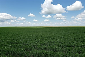 Digging into Soil and Water: North Dakota SWCS Annual Conference | NORTH Central Research Ext Center