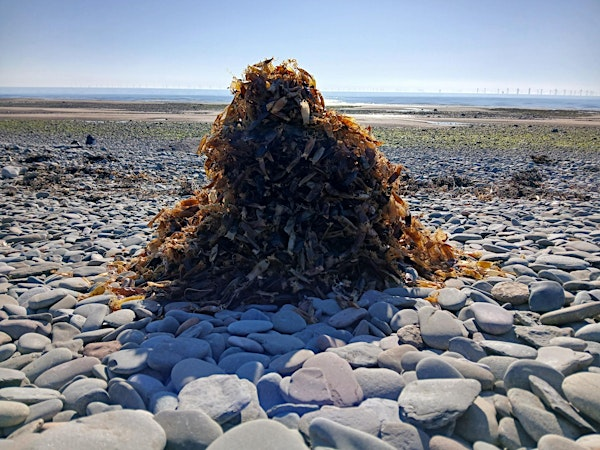 Easter Eggcase Hunt | The Round House Hub & Cafe