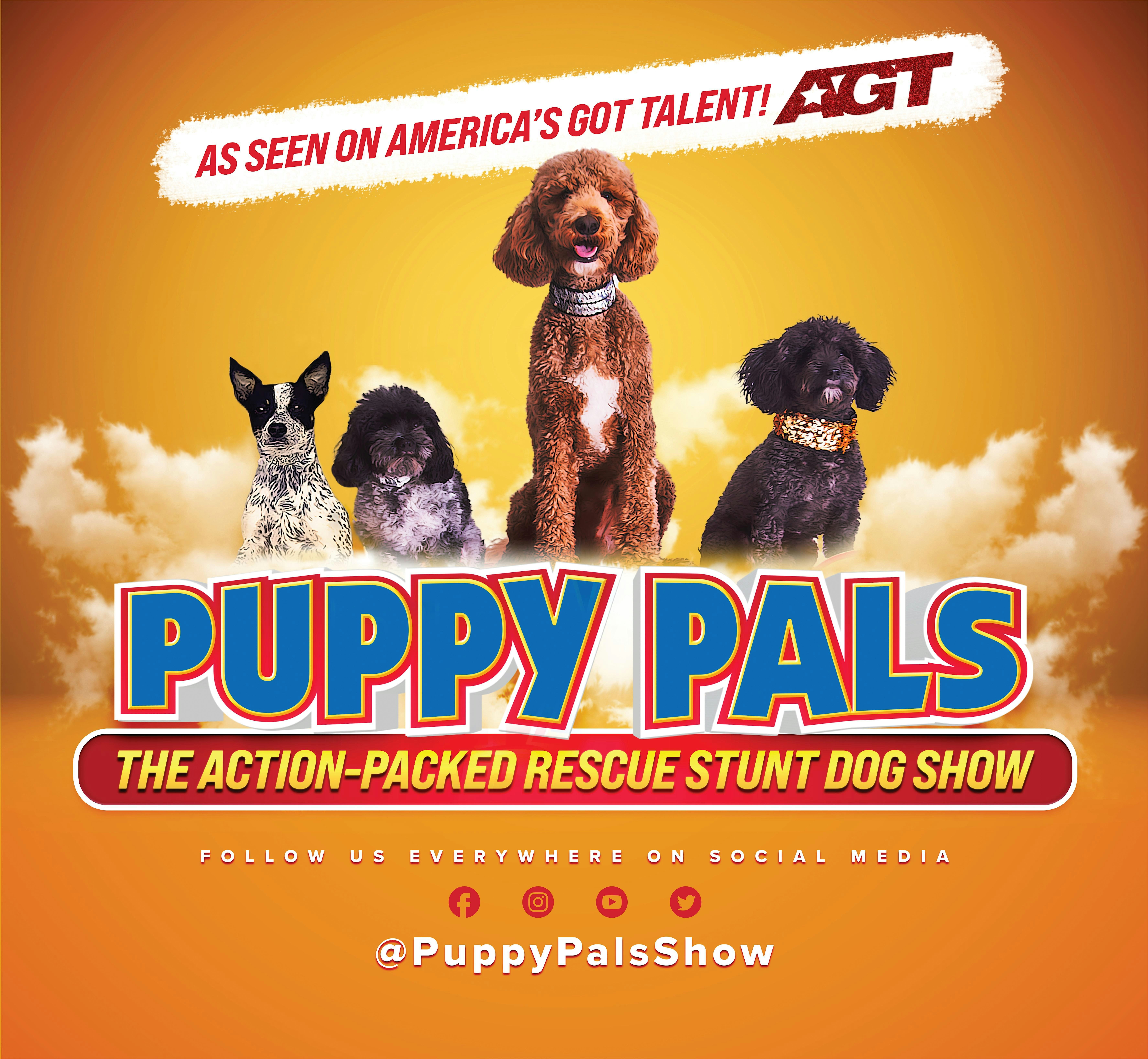 Puppy Pals Live | Arlington Music Hall