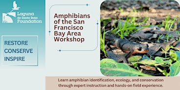 Amphibians of the San Francisco Bay Area Workshop | Laguna de Santa Rosa Foundation