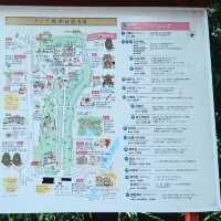 美人水が美味しい【河合神社と参道】