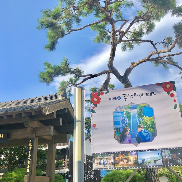[포항] 동백꽃 필 무렵 촬영지🌺 구룡포 일본인 가옥거리