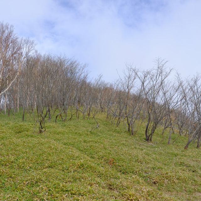 紅葉の赤城山山中