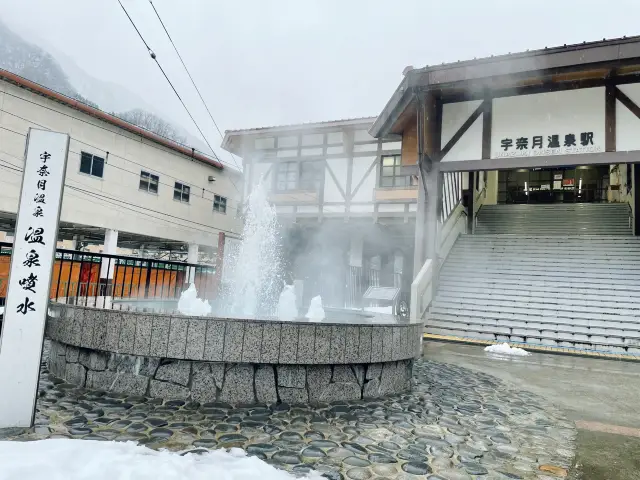 【富山】山の形をしたアルペンチーズケーキ